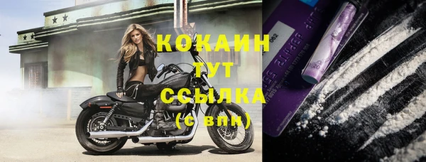 винт Богданович