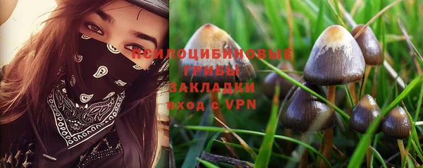 винт Богданович