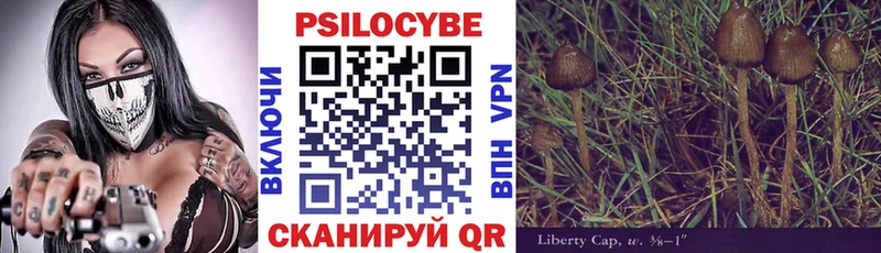 где продают   кракен ССЫЛКА  Галлюциногенные грибы Magic Shrooms  Зуевка 