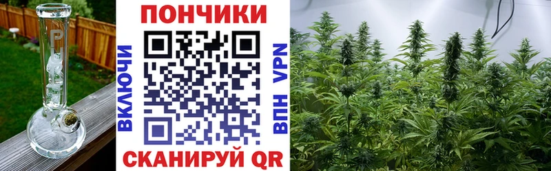 как найти закладки  Зуевка  МАРИХУАНА SATIVA & INDICA 